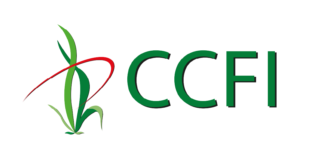 CCFI